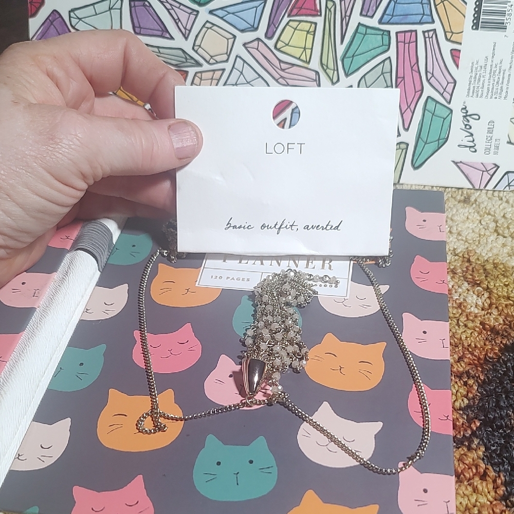 LOFT Silver and Needed Piece On Eé Necklace 18 Inch New